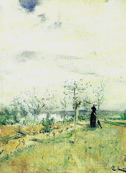 Carl Larsson korsbarsblom-kvinna i landskap oil painting image